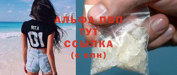 ПСИЛОЦИБИНОВЫЕ ГРИБЫ Переславль-Залесский