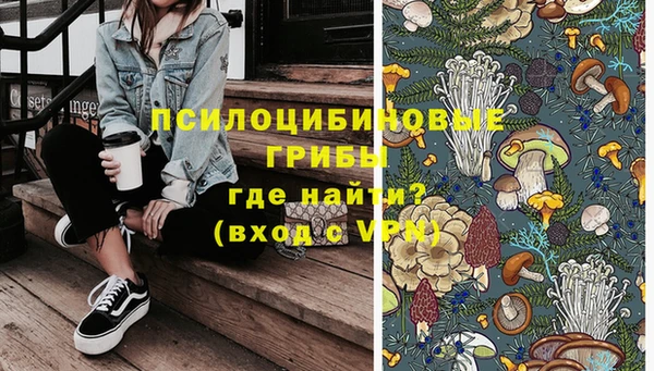 хмурый Пестово