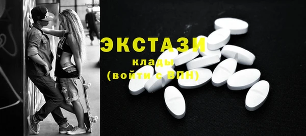 тгк Пересвет