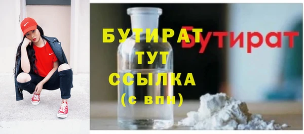 тгк Пересвет