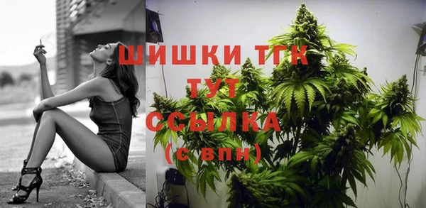 хмурый Пестово