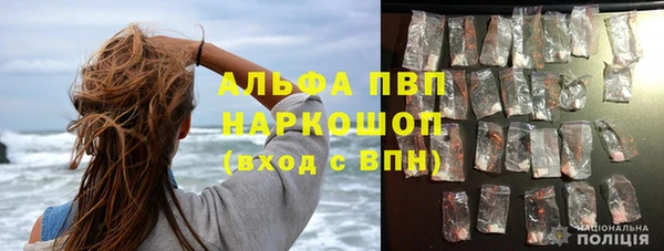 ПСИЛОЦИБИНОВЫЕ ГРИБЫ Переславль-Залесский