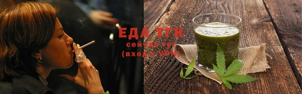 индика Осинники