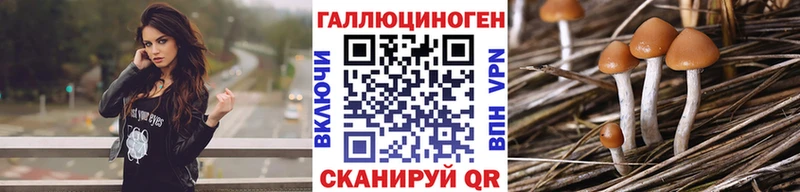 Галлюциногенные грибы GOLDEN TEACHER  Кунгур 