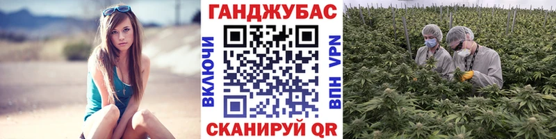 Марихуана Bruce Banner наркота Кунгур