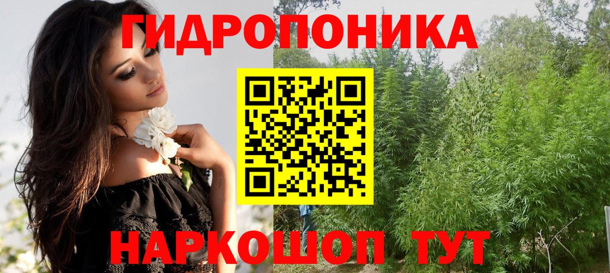Каннабис марихуана  МАРИХУАНА гибрид  Кунгур  Марихуана ГИДРОПОН  Вход с VPN  Шишки марихуана тримм 